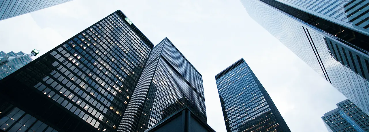 엔케이에스 대표이사